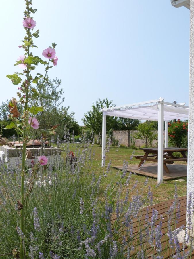 Gite Le Cherche Midi Gaillac Esterno foto